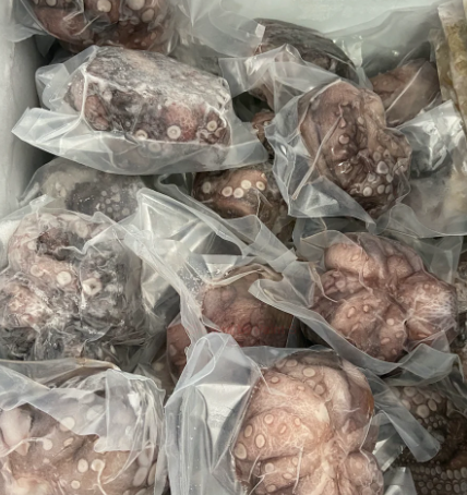 Pulpo